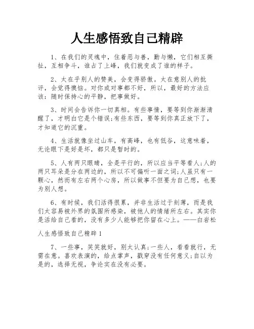 人生感悟致自己精辟