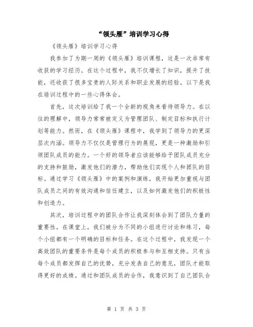 “领头雁”培训学习心得