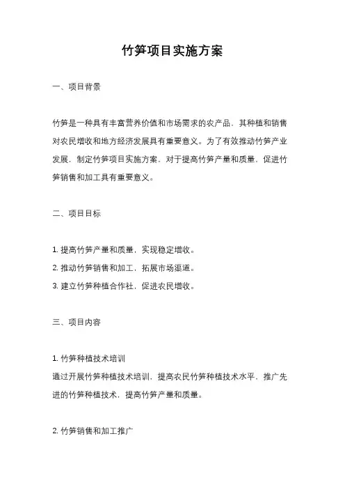 竹笋项目实施方案