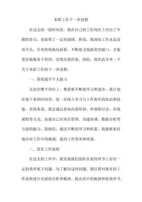 本职工作下一步设想