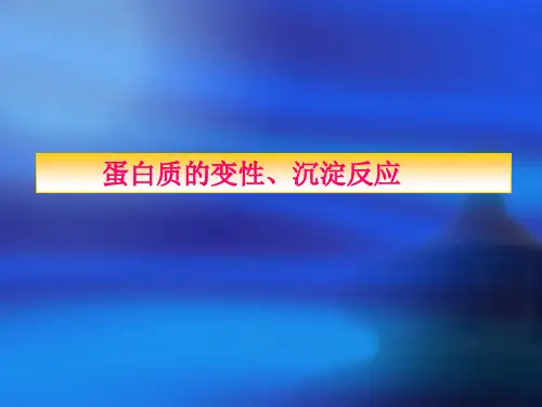 蛋白质的变性沉淀反应