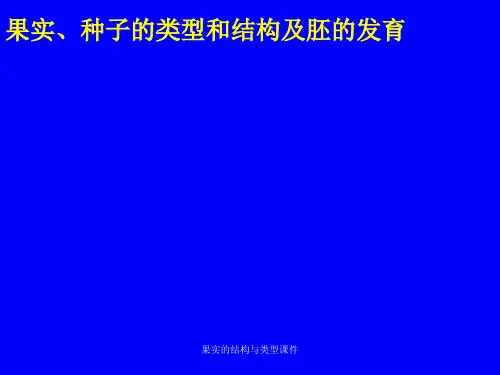 果实的结构与类型课件