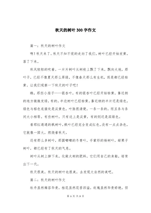 秋天的树叶300字作文