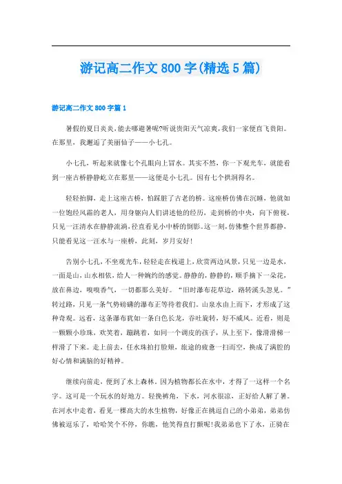 游记高二作文800字(精选5篇)