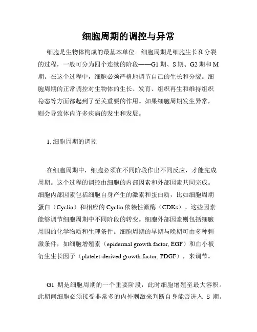 细胞周期的调控与异常