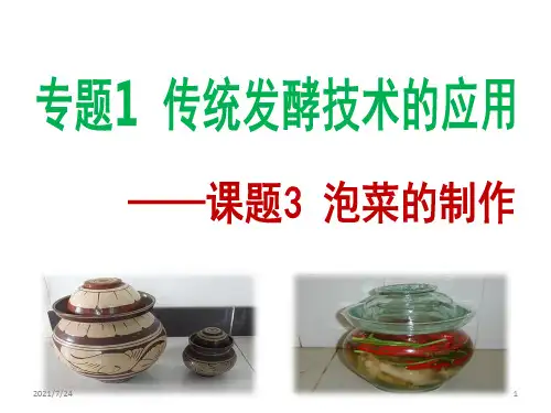 泡菜(公开课)PPT课件