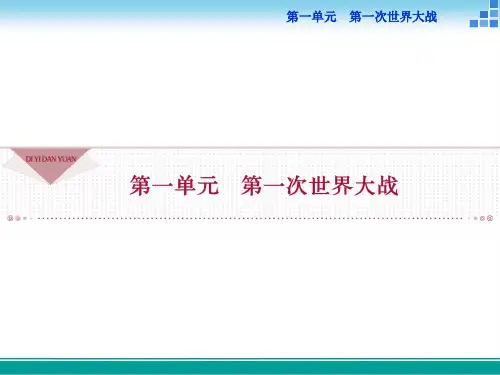 高中历史人教版选修3第一单元第1课第一次世界大战的爆发课件(33张)