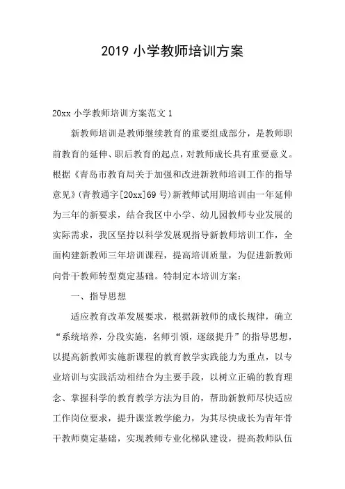 2019小学教师培训方案