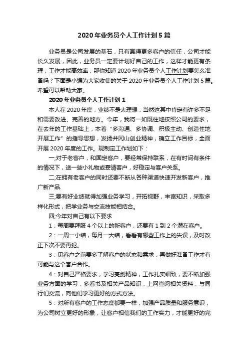 2020年业务员个人工作计划5篇