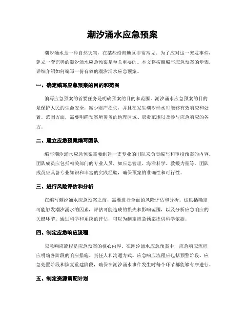 潮汐涌水应急预案