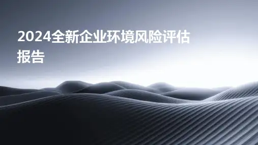 2024全新企业环境风险评估报告