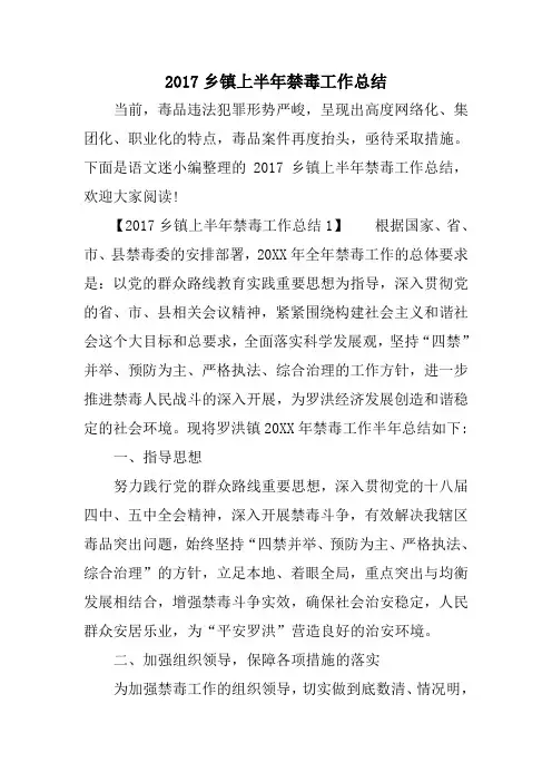 2017乡镇上半年禁毒工作总结
