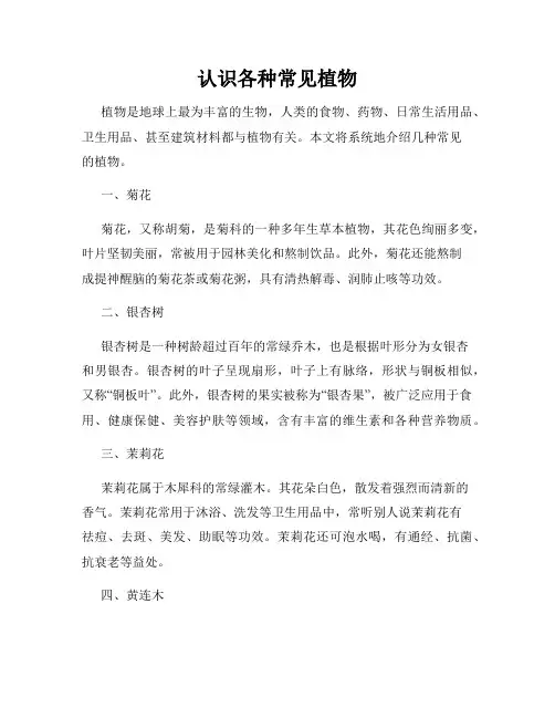 认识各种常见植物