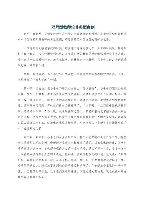 双师型教师培养典型案例