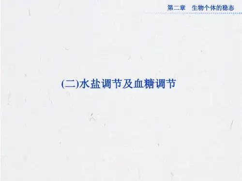 苏教版生物必修三第二章第一节《人体的稳态》(二)水盐调节及血糖调节 课件