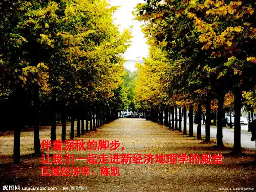 新经济地理学精品PPT课件