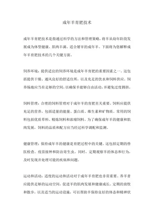 成年羊育肥技术