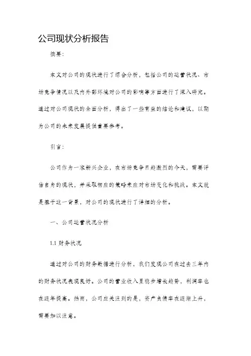 公司现状分析报告