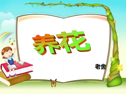《养花》优秀教案设计语文课件PPT