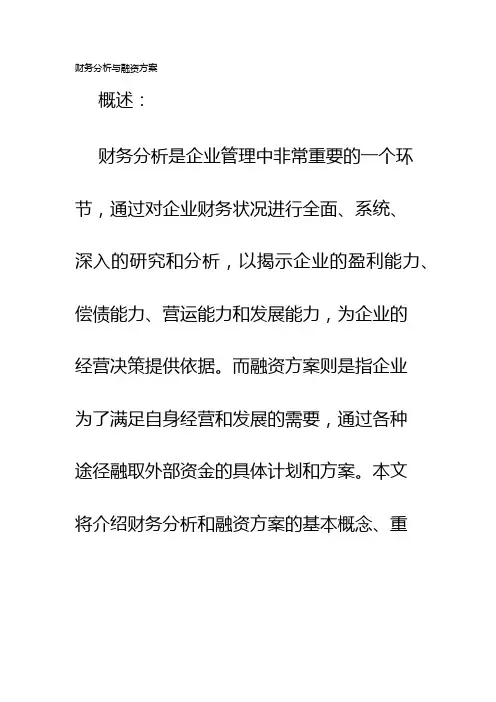 财务分析与融资方案
