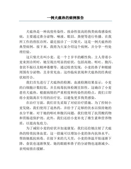 一例犬瘟热的病例报告