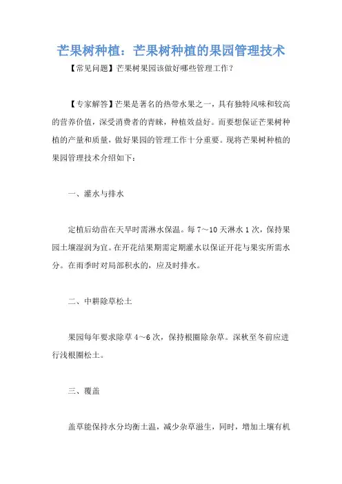 芒果树种植：芒果树种植的果园管理技术
