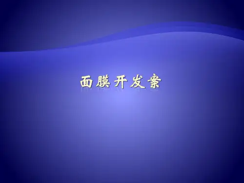 《面膜开发案》课件