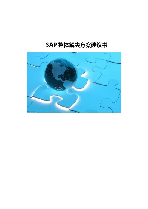SAP整体解决方案建议书