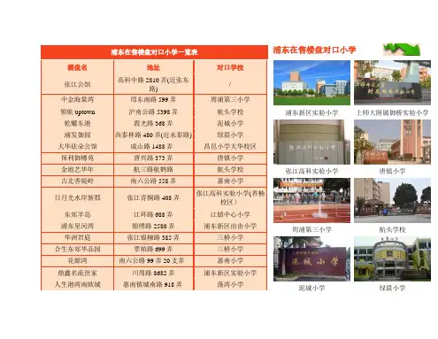 浦东在售楼盘对口小学一览表