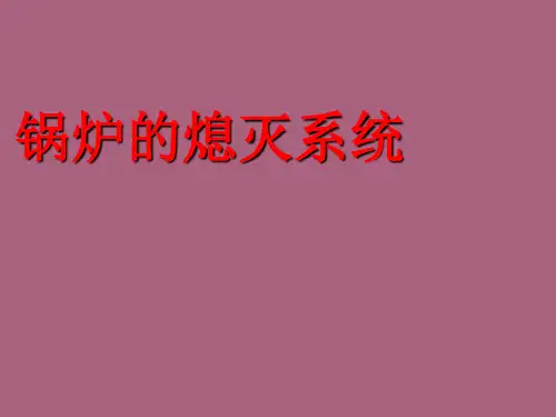 《锅炉的燃烧系统》ppt课件