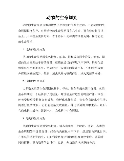 动物的生命周期