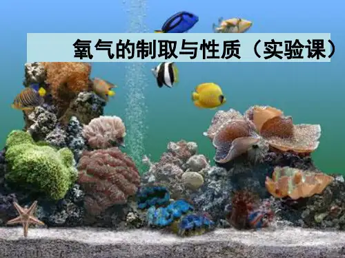 沪教版九年级化学上册第二章基础实验1 氧气的制取与性质(共15张PPT)