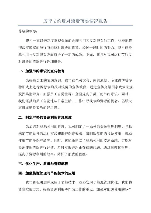 厉行节约反对浪费落实情况报告