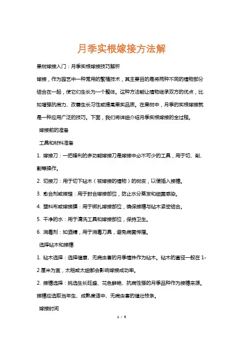 月季实根嫁接方法解