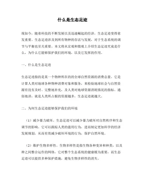 什么是生态足迹