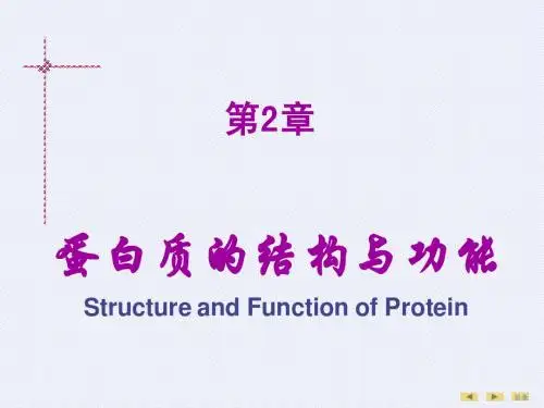 第二章蛋白质的结构与功能