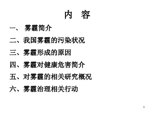 雾霾——我国新的环境污染问题及其研究概况_PPT幻灯片