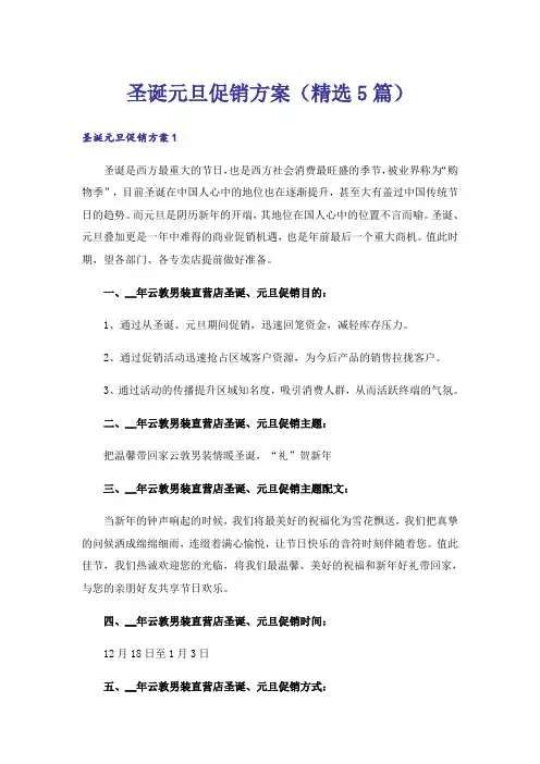 圣诞元旦促销方案(精选5篇)