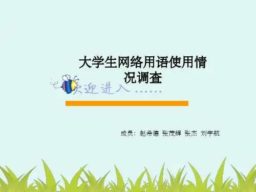 大学生网络用语使用情况调查