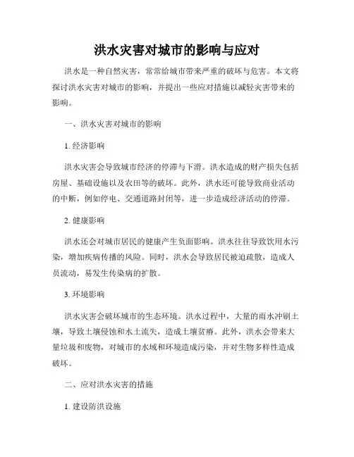 洪水灾害对城市的影响与应对