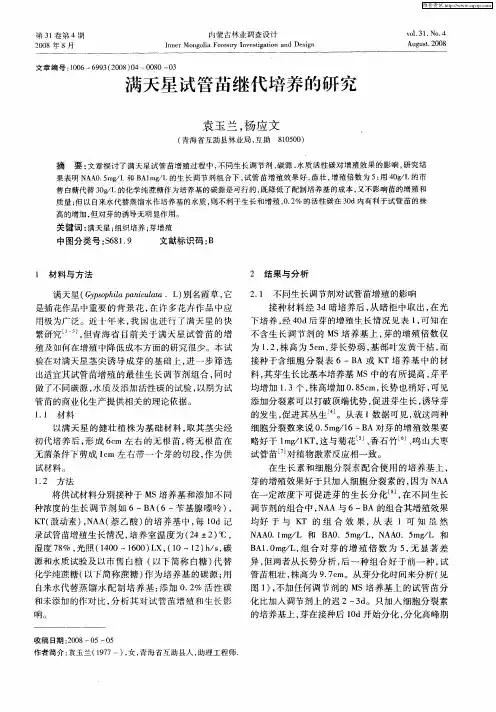 满天星试管苗继代培养的研究
