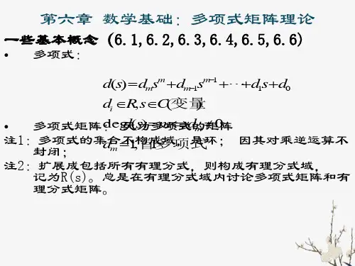 多项式矩阵理论