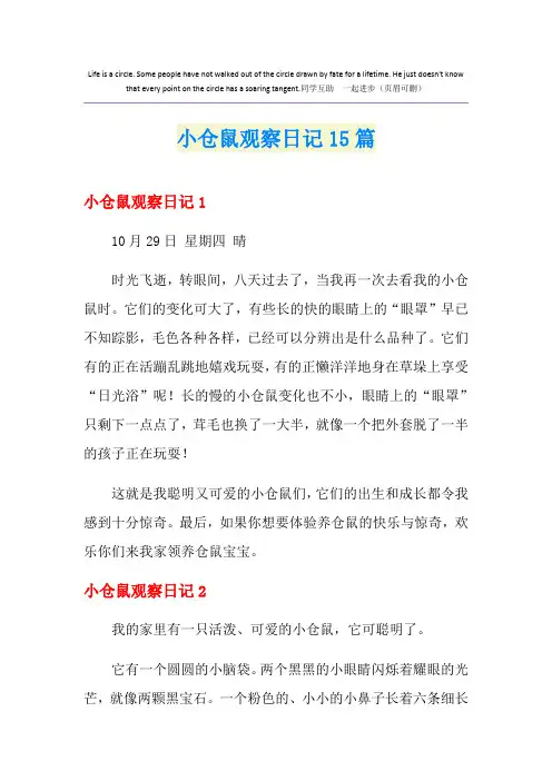 小仓鼠观察日记15篇