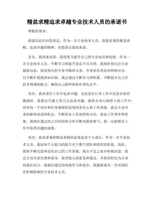 精益求精追求卓越专业技术人员的承诺书