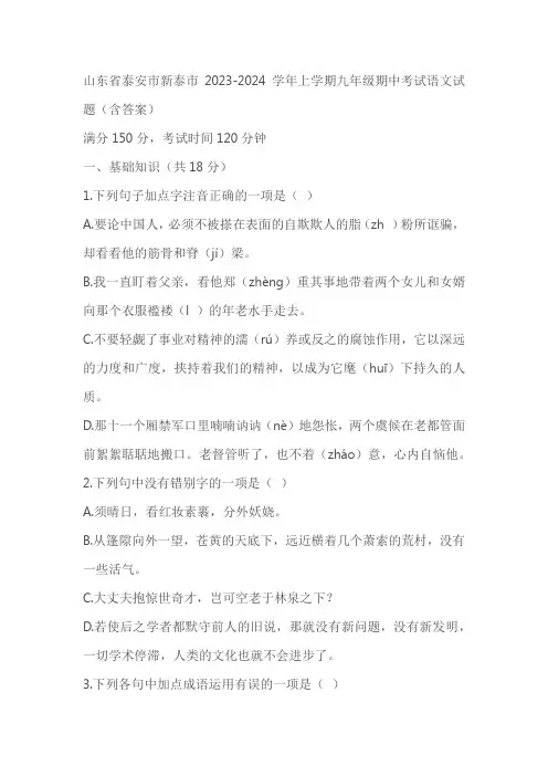 山东省泰安市新泰市2023-2024学年九年级上学期期中考试语文试题(含答案)
