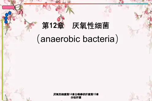 厌氧性细菌第14章白喉棒状杆菌第15章分枝杆菌