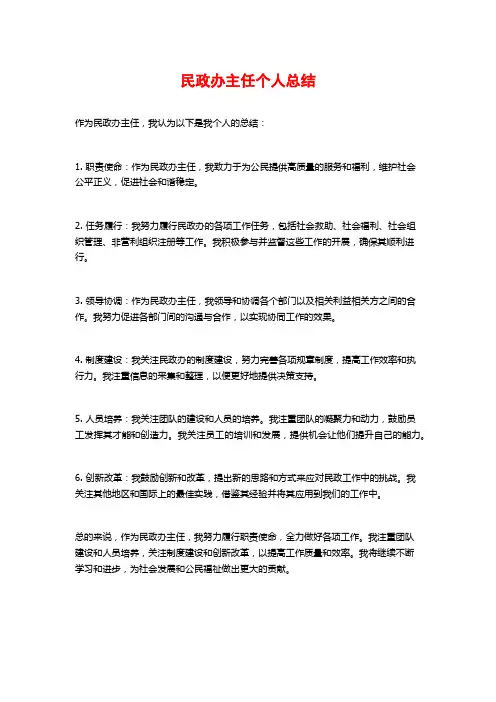 民政办主任个人总结