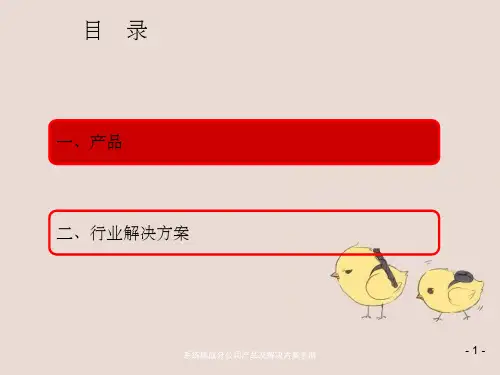 系统集成分公司产品及解决方案手册