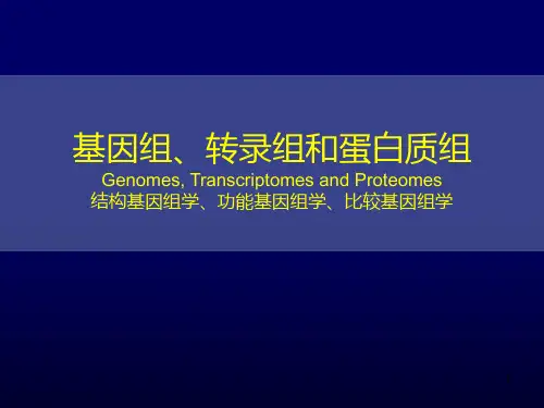 基因组、转录组和蛋白组PPT演示文稿