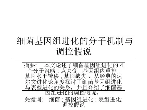医学-细菌基因组进化的分子机制与调控假说